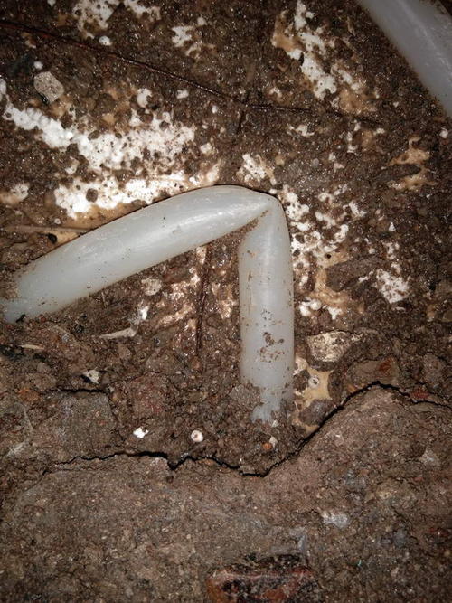 平湖堵点精准查找